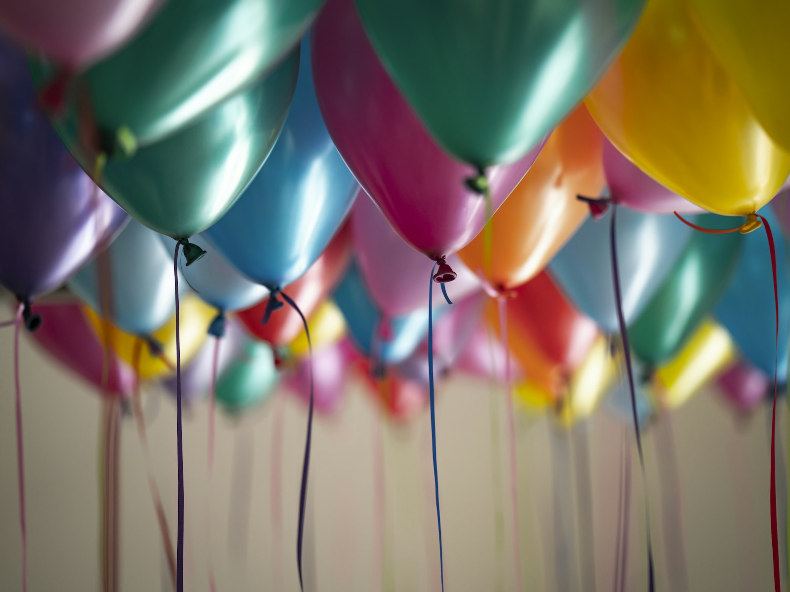 Majorat & Sweet 16